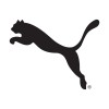  PUMA Group