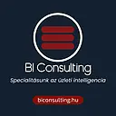  BI Consulting Kft.
