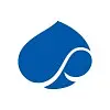  Capgemini